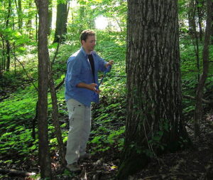 David Barclay coring a tree